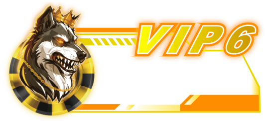 VIP06