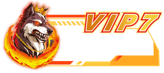 VIP07